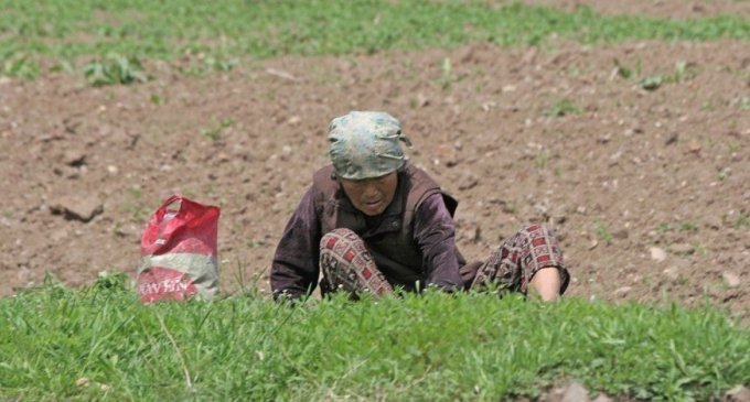 Coreia do Norte pode experimentar outra grande fome